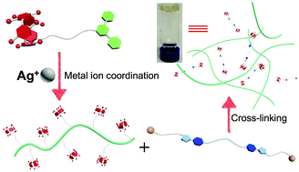 Graphical abstract: A supramolecular polymer network gel with stimuli-responsiveness constructed by orthogonal metal ion coordination and pillar[5]arene-based host–guest recognition