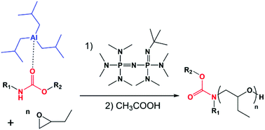 Graphical abstract: Phosphazene/triisobutylaluminum-promoted anionic ring-opening polymerization of 1,2-epoxybutane initiated by secondary carbamates