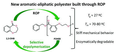 Graphical abstract: Thermal, structural and degradation properties of an aromatic–aliphatic polyester built through ring-opening polymerisation
