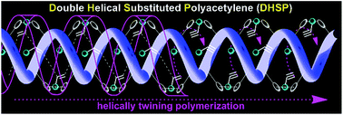 Graphical abstract: Helically twining polymerization for constructing polymeric double helices