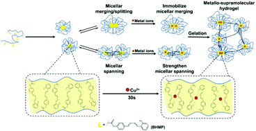 Graphical abstract: Metallo-supramolecular hydrogels based on amphiphilic polymers bearing a hydrophobic Schiff base ligand with rapid self-healing and multi-stimuli responsive properties