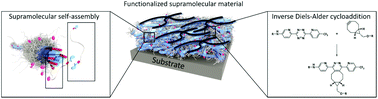 Graphical abstract: Introduction of anti-fouling coatings at the surface of supramolecular elastomeric materials via post-modification of reactive supramolecular additives