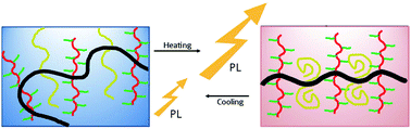 Graphical abstract: Thermoresponsive laterally-branched polythiophene phenylene derivative as water-soluble temperature sensor