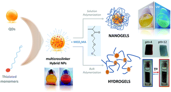 Graphical abstract: QDs decorated with thiol-monomer ligands as new multicrosslinkers for the synthesis of smart luminescent nanogels and hydrogels