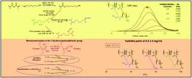 Graphical abstract: A first study on copolymers of a methacrylate containing the 2-(hydroxyimino)aldehyde group and OEGMA. RAFT polymerization and assessment of thermal and photoresponsive polymer behavior