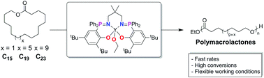 Graphical abstract: Ring opening polymerization of macrolactones: high conversions and activities using an yttrium catalyst