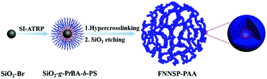 Graphical abstract: Functional nanonetwork-structured polymers with inbuilt poly(acrylic acid) linings for enhanced adsorption