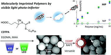 Graphical abstract: Synthesis of molecularly imprinted polymers by photo-iniferter polymerization under visible light