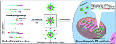 Graphical abstract: Water-soluble mitochondria-targeting polymeric prodrug micelles for fluorescence monitoring and high intracellular anticancer efficiency
