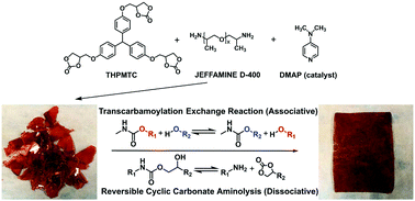 Graphical abstract: Reprocessable polyhydroxyurethane networks exhibiting full property recovery and concurrent associative and dissociative dynamic chemistry via transcarbamoylation and reversible cyclic carbonate aminolysis