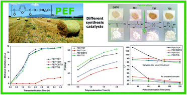 Graphical abstract: Effect of catalyst type on molecular weight increase and coloration of poly(ethylene furanoate) biobased polyester during melt polycondensation