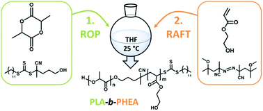 Graphical abstract: One-pot synthesis of PLA-b-PHEA via sequential ROP and RAFT polymerizations