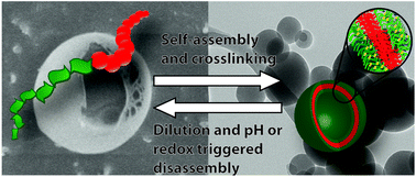 Graphical abstract: Pure hydrophilic block copolymer vesicles with redox- and pH-cleavable crosslinks