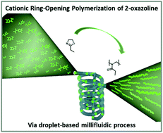 Graphical abstract: Living cationic ring-opening polymerization of 2-ethyl-2-oxazoline following sustainable concepts: microwave-assisted and droplet-based millifluidic processes in an ionic liquid medium