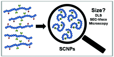 Graphical abstract: Characterizing single chain nanoparticles (SCNPs): a critical survey