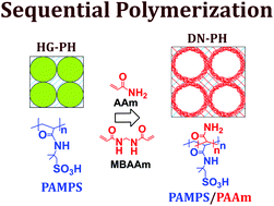 Graphical abstract: Hydrogels through emulsion templating: sequential polymerization and double networks