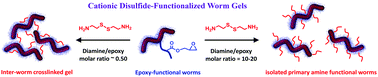 Graphical abstract: Cationic disulfide-functionalized worm gels