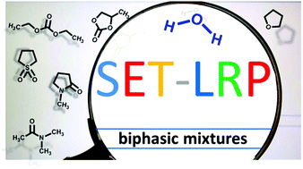Graphical abstract: Searching for efficient SET-LRP systems via biphasic mixtures of water with carbonates, ethers and dipolar aprotic solvents