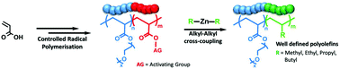 Graphical abstract: Controlled poly(olefin)s via decarboxylation of poly(acrylic acid)