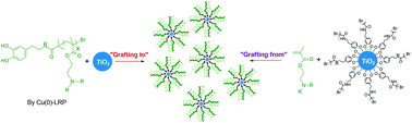 Graphical abstract: Bioinspired coating of TiO2 nanoparticles with antimicrobial polymers by Cu(0)-LRP: grafting to vs. grafting from