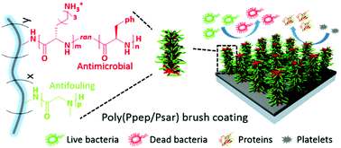 Graphical abstract: Methacrylate-ended polypeptides and polypeptoids for antimicrobial and antifouling coatings