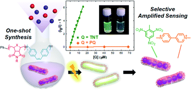 Graphical abstract: Dimensionally controlled water-dispersible amplifying fluorescent polymer nanoparticles for selective detection of charge-neutral analytes