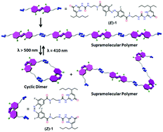 Graphical abstract: Visible-light responsive hydrogen-bonded supramolecular polymers based on ortho-tetrafluorinated azobenzene