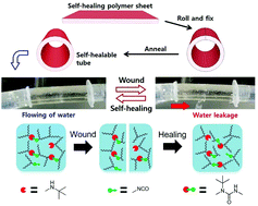 Graphical abstract: Water-adaptive and repeatable self-healing polymers bearing bulky urea bonds