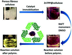 Graphical abstract: A photocatalyst immobilized on fibrous and porous monolithic cellulose for heterogeneous catalysis of controlled radical polymerization