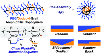 Graphical abstract: Self-assembly of PEG/dodecyl-graft amphiphilic copolymers in water: consequences of the monomer sequence and chain flexibility on uniform micelles