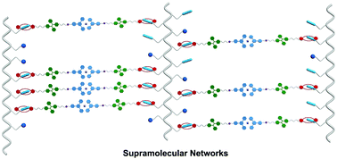 Graphical abstract: A fluorescent cross-linked supramolecular network formed by orthogonal metal-coordination and host–guest interactions for multiple ratiometric sensing