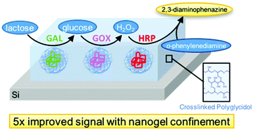 Graphical abstract: Electron beam lithography of poly(glycidol) nanogels for immobilization of a three-enzyme cascade