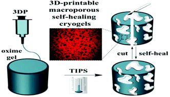 Graphical abstract: 3D-printing of dynamic self-healing cryogels with tuneable properties