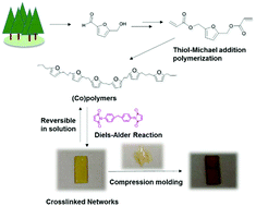 Graphical abstract: Synthesis, characterization and potential applications of 5-hydroxymethylfurfural derivative based poly(β-thioether esters) synthesized via thiol-Michael addition polymerization