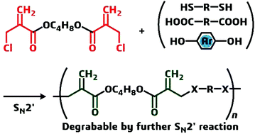 Graphical abstract: Conjugate substitution and addition of α-substituted acrylate: a highly efficient, facile, convenient, and versatile approach to fabricate degradable polymers by dynamic covalent chemistry