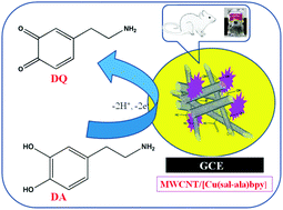 Graphical abstract: Multiwalled carbon nanotube supported Schiff base copper complex inorganic nanocomposite for enhanced electrochemical detection of dopamine