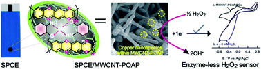 Graphical abstract: One-pot electrochemical preparation of copper species immobilized poly(o-aminophenol)/MWCNT composite with excellent electrocatalytic activity for use as an H2O2 sensor