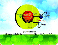 Graphical abstract: Synergistically enhanced photocatalysis from plasmonics and a co-catalyst in Au@ZnO–Pd ternary core–shell nanostructures