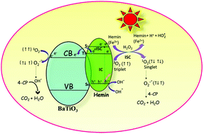 Graphical abstract: Photocatalytic activity of Hemin (Fe(iii) porphyrin) anchored BaTiO3 under the illumination of visible light: synergetic effects of photosensitization, photo-Fenton & photocatalysis processes