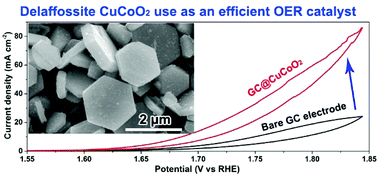 Graphical abstract: A low temperature hydrothermal synthesis of delafossite CuCoO2 as an efficient electrocatalyst for the oxygen evolution reaction in alkaline solutions