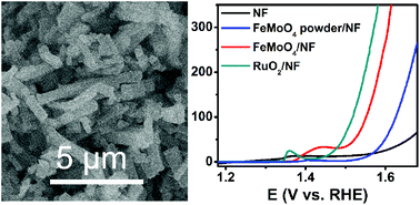 Graphical abstract: FeMoO4 nanorod array: a highly active 3D anode for water oxidation under alkaline conditions