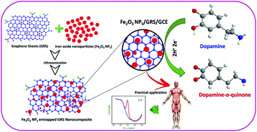 Graphical abstract: Trace level electrochemical determination of the neurotransmitter dopamine in biological samples based on iron oxide nanoparticle decorated graphene sheets