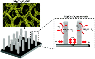 Graphical abstract: Facile and cost-effective growth of a highly efficient MgCo2O4 electrocatalyst for methanol oxidation
