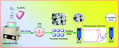 Graphical abstract: Highly selective electrochemical detection of antipsychotic drug chlorpromazine in drug and human urine samples based on peas-like strontium molybdate as an electrocatalyst