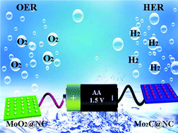 Graphical abstract: Three-dimensional supramolecular phosphomolybdate architecture-derived Mo-based electrocatalytic system for overall water splitting
