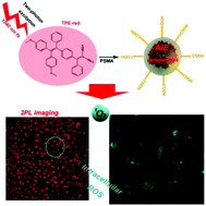 Graphical abstract: Aggregation-induced emission nanoparticles as photosensitizer for two-photon photodynamic therapy