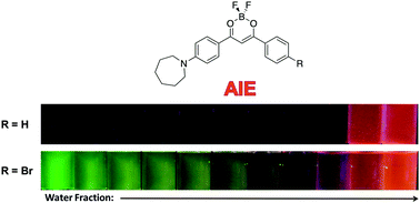 Graphical abstract: Multi-stimuli responsive luminescent azepane-substituted β-diketones and difluoroboron complexes