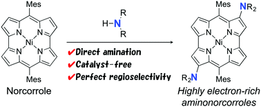 Graphical abstract: Direct amination of the antiaromatic NiII norcorrole