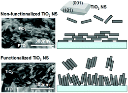 Graphical abstract: Self-oriented TiO2 nanosheets in films for enhancement of electron transport in nanoporous semiconductor networks