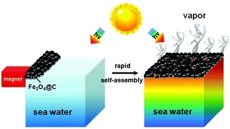 Graphical abstract: Interfacial solar heating by self-assembled Fe3O4@C film for steam generation